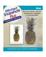 Stitched Snapshots Plus 