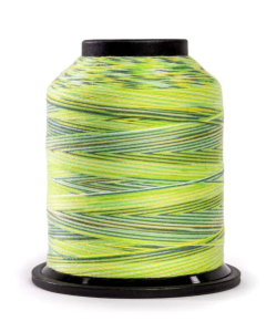 Grace Finesse Variegated Quilting Thread Summer Camp #8598