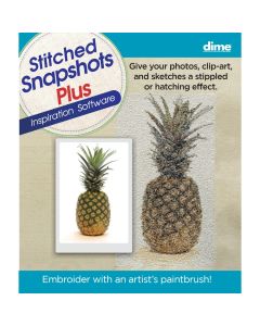 Stitched Snapshots Plus 