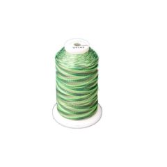 Exquisite 5000m Green Variegated Thread - V5102