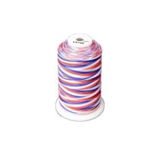 Exquisite 5000m Red/White/Blue Variegated Thread - V5106