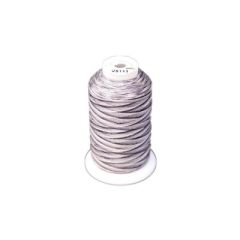 Exquisite 5000m Silver Variegated Thread - V5111