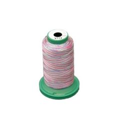 Exquisite 1000m Green/Pink Variegated Thread - V113