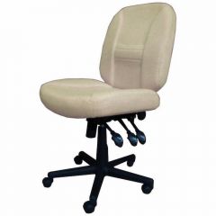 Horn of America 17090 Deluxe 6 Way Adjustable Chair in Beige (Shipping in April)
