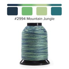 Grace Finesse Variegated Quilting Thread Mountain Jungle #2994