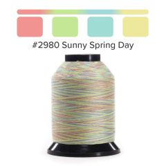 Grace Finesse Variegated Quilting Thread Sunny Spring Day #2980